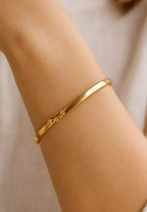 Brazalete 1