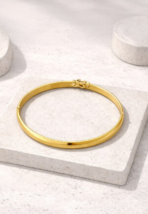 Brazalete 3